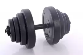 Hanteliai 20kg