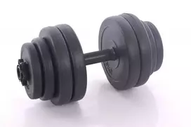 Hanteliai 15kg