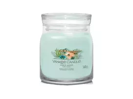 Kvapioji žvakė Yankee Candle  Aloe & Agave, 368 g