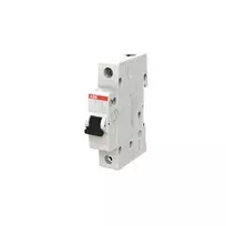 Automatinis jungiklis ABB SH201, 1P, C, 32A, 6kA