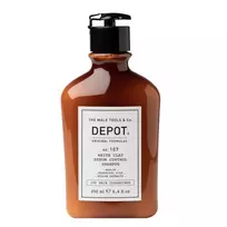 Depot, 100 plaukų valymas Nr. 107, kaolinas, plaukų šampūnas, skirtas reguliuoti perteklinį riebalų išsiskyrimą, 250 ml