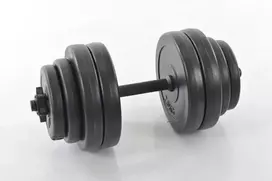 Hantelis 15 kg