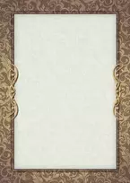 Dipl.popierius 170g  Arras B rudas