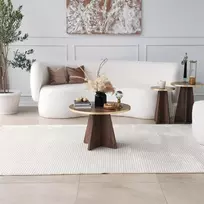 Kavos staliukas, Hanah Home, auksas Riešutas, 60 x 40 x 60, cm