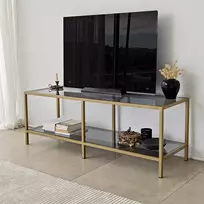 TV stovas, Hanah Home, tamsiai pilka Auksinis, 130 x 45 x 40, cm