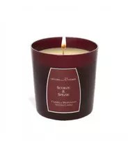 OFFICINA DELLE ESSENZE aromatinė žvakė „Žievelės ir prieskoniai“ 250 g