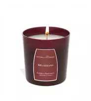 „OFFICINA DELLE ESSENZE“ aromatinė žvakė „Granatų“ 250 g