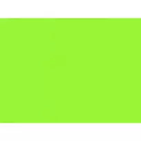 Spalvotas popierius 80g A4/100l Fluo žalias