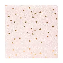 Albumas GOLDBUCH 08034 Finamente rose 30x31 60psl | kampučiai/lipdukai | knyginio rišimo