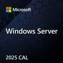 Microsoft Windows Svr CAL 2025 PL Clt User CAL OEM