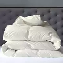 Žąsų pūkinė antklodė (70%-pūkų, 30%-plunksnų) su tiku EXCLUSIVE PLUS , 160x200 cm