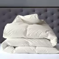 Žąsų pūkinė antklodė (70%-pūkų, 30%-plunksnų) su tiku EXCLUSIVE PLUS , 180x200 cm