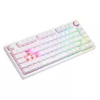 Mechanical Keyboard Phen SAVIO