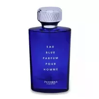 Vyriški kvepalai PENDORA SCENTS Eau Blue Pour Homme EDP spray 100ml