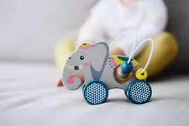 Push-Along Animal with Bead Maze "Jungle"