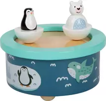 Arctic Music Box