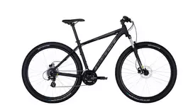 Dviratis 29 Bulls Wildtail 2 Disc vyr. 24g juodas matinis - m