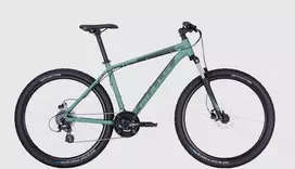 Dviratis 29 Bulls Wildtail 2 Disc vyr. 24g žalias - m