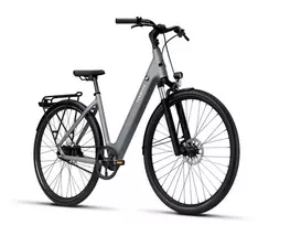 Dviratis 28" elektrinis Tenways CGO800S 374Wh unisex pilkas matinis 48cm one size