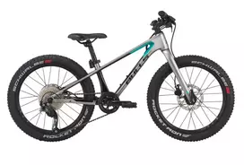 Dviratis 20" Bulls Tokee Ultra Lite sidabrinis karboninis