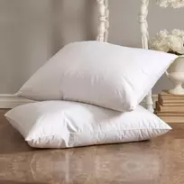 Ančių pūkinė pagalvė (50%- ECO pūkų, 50%- plunksnų) ECO DUCK, 50x70 cm / 1 vnt (50x70 cm)