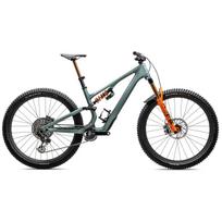 S-Works Stumpjumper 15 kalnų dviratis | 29" | Gloss Fjord Metallic - Dolomite Metallic