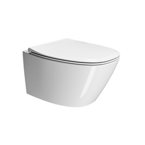 GSI Modo+ pakabinamas klozetas su SWIRLFLUSH® nuplovimo sistema 54x37 cm
