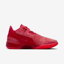 Nike LeBron NXXT Gen AMPD  - Dydis 44 (FJ1566-600 Krepšinio bateliai)