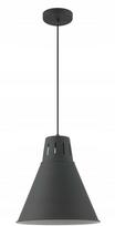 Pakabinamas šviestuvas Lubų šviestuvas GIANNI L,8136,AC220-240V,50/60Hz,1*E27, max.40W, IP20, skersmuo 32cm,sing