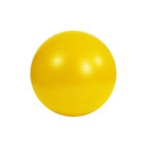 Mankštos kamuolys Mambo Max. su pompa. 45 cm