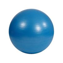 Mankštos kamuolys Mambo Max. su pompa. 75 cm