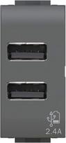 USB 2.4 A kištukas su 2 išėjimais viename modulyje, suderinamas su "Bticino LIVINGLIGHT Anthracite