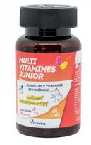Maisto papildas VITAVEA Multivitaminai vaikams N30