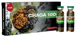Herbin Čaga strong, juodojo beržo grybo ekstraktas 7000 mg, 10 buteliukų