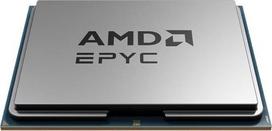 Procesorius AMD Epyc 8224P Tray 100-000001134
