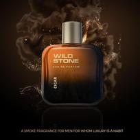 Wild Stone Cigar Eau De Parfum vyrams, 100ml