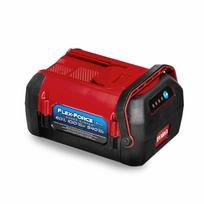 Toro FlexForce 60V 10 Ah Battery 540 WH – baterija su 540 WH talpa