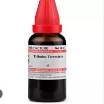 Dr Willmar Schwabe India Tribulus Terrestris motininė tinktūra Q 30 ml