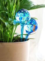 Automatiniai laistymo gaubliai Aqua·Loon InnovaGoods (2 VNT.)