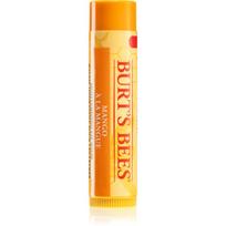 Burt’s Bees Lip Care maitinamasis lūpų balzamas (with Mango Butter) 4,25 g