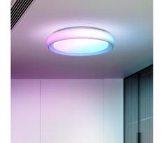 Solight WO8015 - LED RGB pritemdomas lubinis šviestuvas FLOCO LED/30W/230V+RGB/6W+RC d.40cm