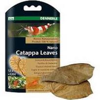 Dennerle Nano Catappa lapai, 12vnt
