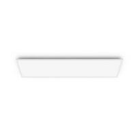Philips by Signify Philips Functional Panel Ceiling Light, 36W, Rectangular