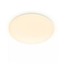Philips by Signify Philips Functional Moire Ceiling Light, 20W