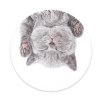 Popsockets Cat Nap Passive holder, E-book reader, Mobile phone/Smartphone, Tablet/UMPC, Multicolour