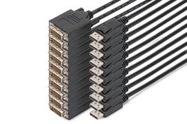 Digitus DisplayPort to DVI Adapter Cable, Pack of 10
