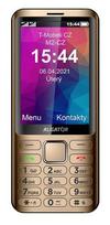 ALIGATOR D950 8.89 cm (3.5 inch) Gold Senior phone
