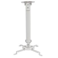 Techly Projector Ceiling Mount Extension 545-900 mm Silver ICA-PM 18M