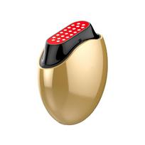 EMS Micro Current Electric Introducer Household Beauty Instrument Lifting Face Massage Instrument Vibration Heating Collagen Cannon auksas
