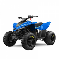 Vaikiškas keturratis CFMOTO CFORCE 110